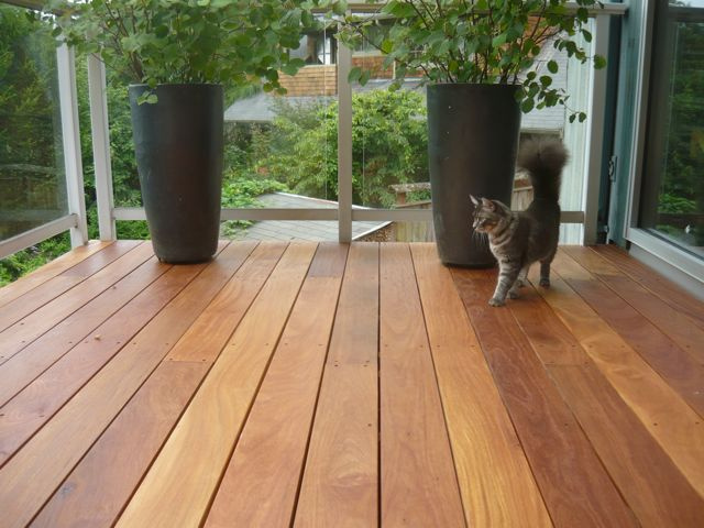 Cumaru deck finished with Penofin.